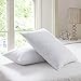 Set of 2 Goose Feather Pillows Queen Size - 600 Thread Count Cotton Cover,20