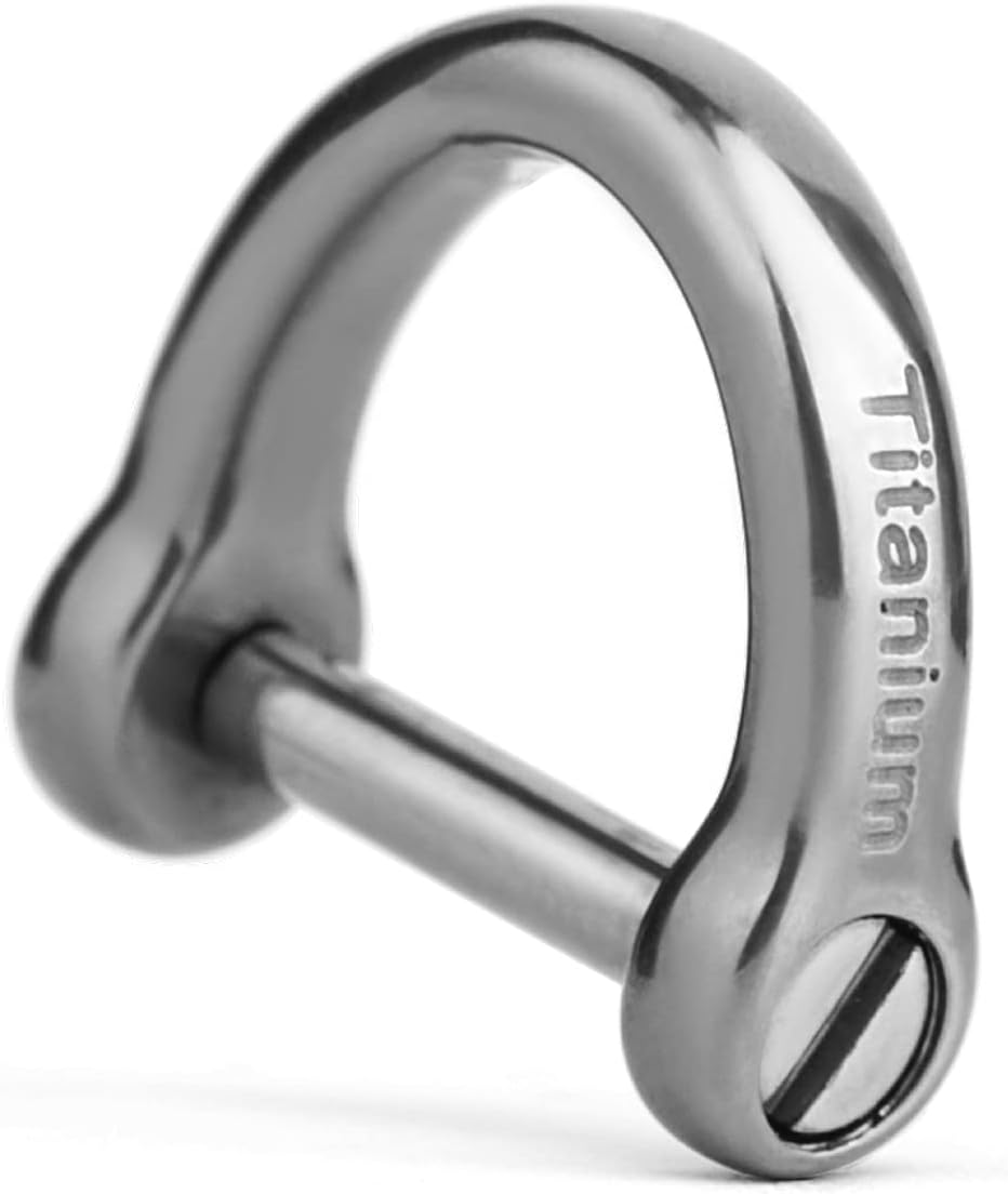TISUR Titanium D-Rings with Screw Shackle, U Shape Key Chains Rings, Car Keys Tools, DIY Leather Craft Purse/Wallet Buckle 1 pcs (Polished, Small)