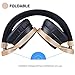 Riwbox IN5 Foldable Headphones with Microphone and Volume Control Stereo Folding Headset Strong Low Bass for iPhone ipad Smartphones Laptop Mp3/4 (Black Gold)