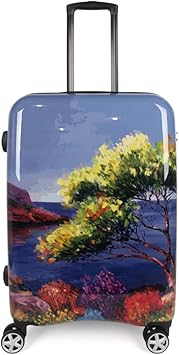 colorful suitcases with wheels