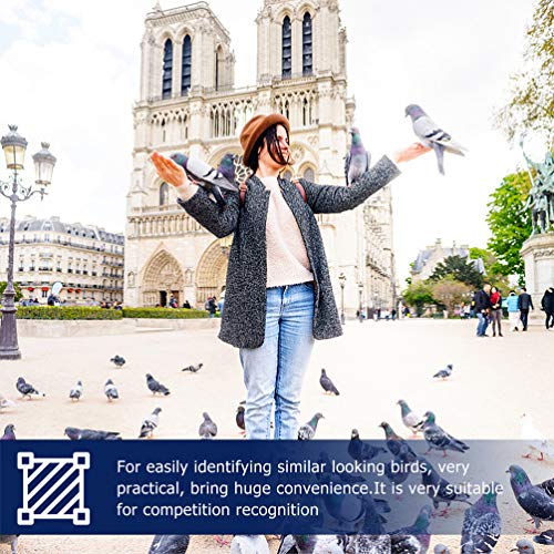 UPKOCH 100 Stücke Klemmringe Hühner Ringe Hühnerringe ohne Nummerierte Beinringe Taubenringe ID Identifikation Vogel… – Bild 6