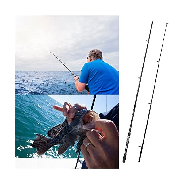 plusinno fly fishing rod and reel combo