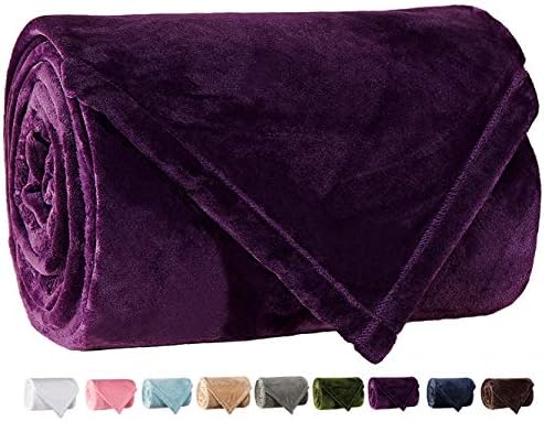 LBRO2M Fleece Bed Blanket Super Soft Warm Fuzzy Velvet Plush Throw Lightweight Cozy Couch Blankets Twin(90-Inch-by-65-Inch) Purple