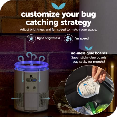 Katchy Duo 2 in 1 Indoor Fruit Fly Trap, Mosquito Killer, and Gnat