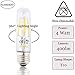 Klarlight E26 T10 Tubular Edison LED Light Bulb, 40 Watt Incandescent LED T10 Replacement Bulb - 4 Watt Daylight COB Tubular LED Filament Bulb, Medium Base E26 Tube Bulbs (2-Pack)