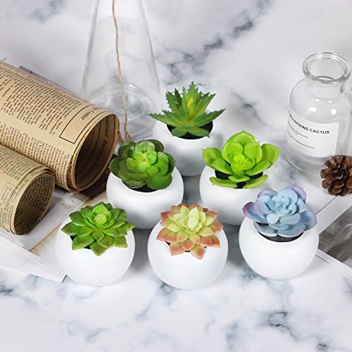 Keepower Fake Succulent Plants 6pcs Mini Succulents Faux Succulents Potted Artificial Succulent Plants for Family Decoration