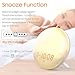 Wake Up Light, Cshidworld Sunrise Alarm Clock 7 Colored Sunrise Simulation & Sleep Aid Feature, Dual Digital LED Alarm Clock with FM Radio, 7 Natural Sound and Snooze for Kids Adults Bedrooms