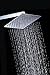 BWE High Pressure Shower Head 8 inch Square Rainfall Shower Head 304 Stainless Steel with teflon tape Ultra Thin 1/2 Connection Bathroom Shower Heads High Polish Chrome