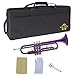 Kaizer TRP-1000PL Standard B Flat Bb Student Trumpet - Purple