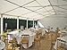 DELTA Canopies 40'x20' PVC Party Tent - Fire Retardant Heavy Duty Wedding Canopy Shelter - with Storage Bags