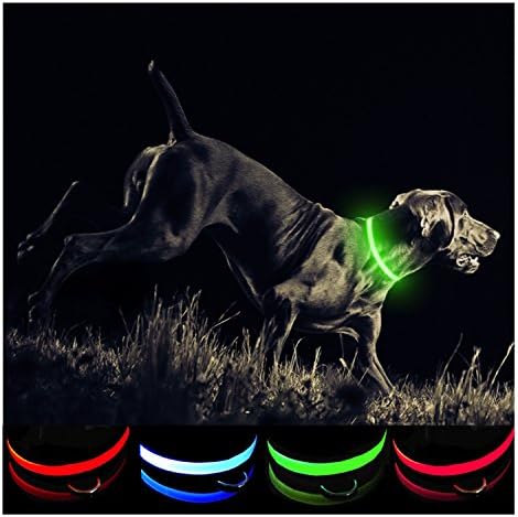 Petabunga Premium LED Dog Collar, USB Rechargeable &amp; Superior Durability to Increase Dog Visibility &amp; Safety, Glows at Night, Because Your Dog is Worth It (Green, Small)