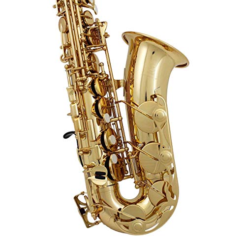 The 5 Best Saxophones For Beginners [2021 Review]
