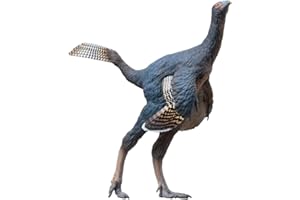 PNSO Prehistoric Dinosaur Models:93 Junlang The Caudipteryx
