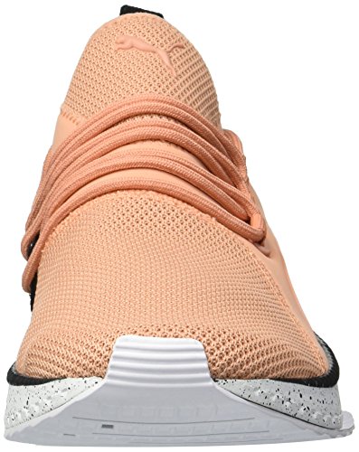puma tsugi apex summer