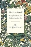 The Low Road - Hardy Heathers and the Heather Garden by D. Fyfe Maxwell