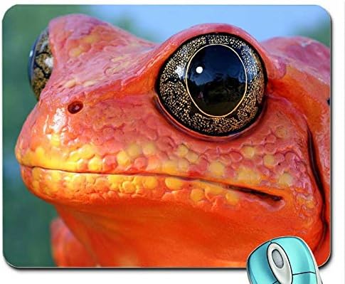 Animals animals orange frogs hypnotoad 2560x1920 wallpaper mouse pad computer mousepad