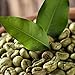 Crema De El Cafe Verde Para Eliminar La Celulitis - Crema Adelgazante Anticelulitis - Hidrata La Piel - Tratamiento 16 Onzas
