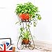 AISHN Metal Plant Stand 2-Tiered Potted，Supports Floor Flower Pot Round Rack Display，Perfect For Home, Garden, Patio, Outdoor Indoor