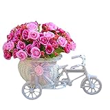 Voberry Home Decorative Furnishing Floats [Bicycle Basket] [Mini Bike] Rose Flowers Tricycle Plant Stand (Rose)