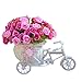 Voberry Home Decorative Furnishing Floats [Bicycle Basket] [Mini Bike] Rose Flowers Tricycle Plant Stand (Rose)