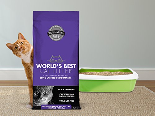 World's Best Cat Litter Clumping Litter Formula for Multiple Cats, Lavender Scent, 28-Pounds