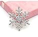 Fashion Brooch Pin Crystal Rhinestone Snowflake Theme