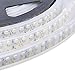 NEWSTYLE 16.4Ft 5M Double Row 3528 Cool White LED Strip 240Leds/M Light Tube 1200 LEDs Flexible Strip Light IP67 Waterproof 12V