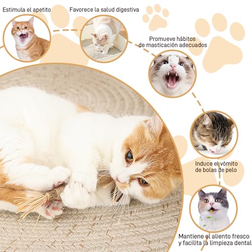 KIZCGE 7PCS Natural Silvervine Dental Sticks, Juguetes para Masticar Gatos | Cuidado Dental y Limpieza de Dientes - Mordedera para Gato, Bite Resistant, Relieve Anxiety, Boost Appetite