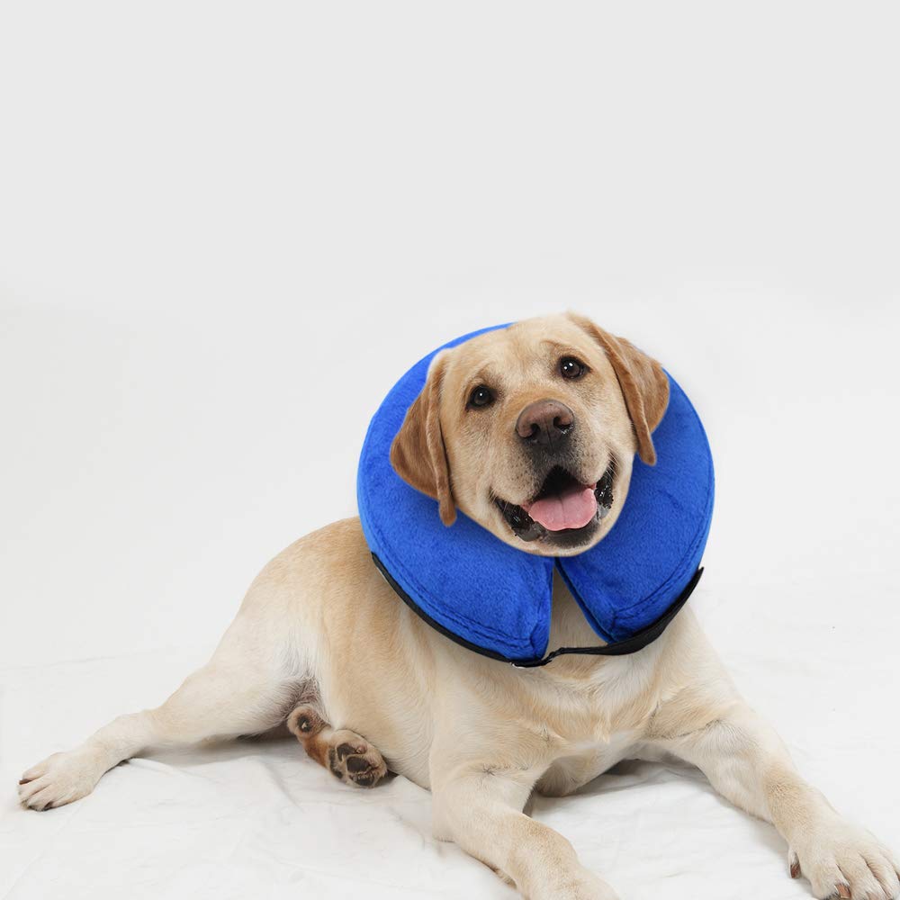 Inflatable Dog Collar Comfy Cone For Dogs Dog Recovery Collar