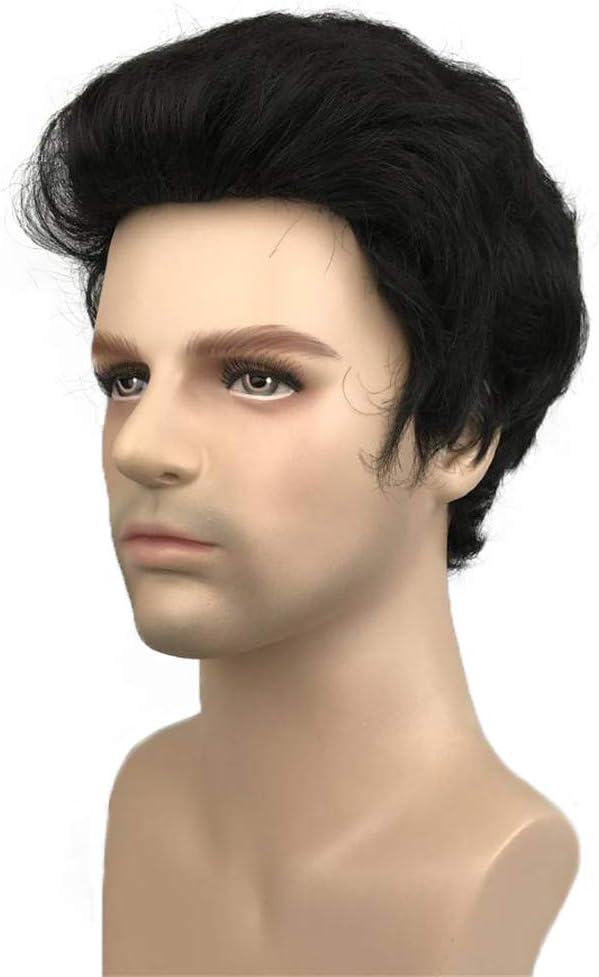 Aimole Black Short Mens Wigs Straight Hair Synthetic Full Wig for Men