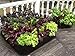3ft X 3ft Victory 8 EZ-GRO MD SQ Raised Bed AeroFlow Proprietary Fabric Grow Your OWN No Assembly