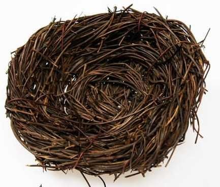 Natural Twig Bird Nest 5'' - Set of 6 Nest