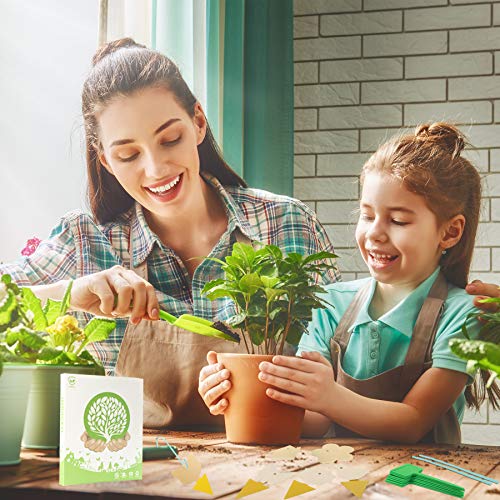 36 Pack Fruit Fly Trap Yellow Sticky Fungus Gnat Killer for Indoor and Outdoor Plant Insect Catcher for White Flies Mosquitos Fungus Gnats Flying Insects Houseplant Gift for Flower Lover (H48 36+12)