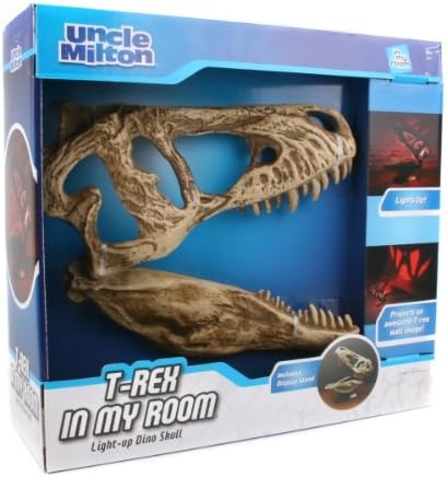 In My Room T-Rex