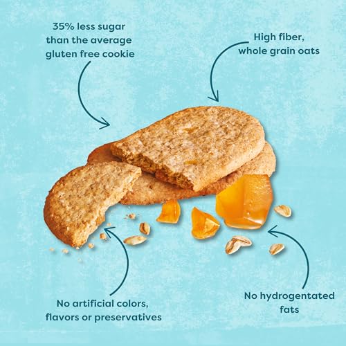 NAIRN’S GLUTEN-FREE STEM GINGER OAT GRAHAMS – HEALTHY, TASTY AND SAFE FOR CELIACS. PERFECT ON-THE GO SNACK .HIGH FIBER, NO ARTIFICIAL COLORS, FLAVORS, OR PRESERVATIVES, 5.64OZ