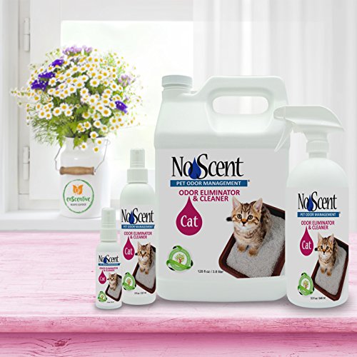 No Scent Cat Professional Pet Urine Feces Odor Eliminator and Cleaner