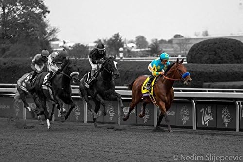 American Pharoah Winning the Breeders' Cup, Keeneland Lexington Kentucky Photo Picture