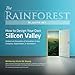 The Rainforest Blueprint: How to Design Your Own Silicon Valley | Unleash an Ecosystem of Innovation in Your Company, Organization, or Hometown - Book by Victor W. Hwang