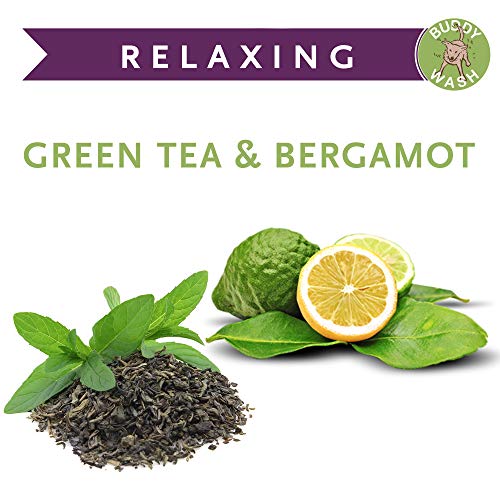 Buddy Biscuits Buddy Wash Dog Shampoo & Conditioner for Dogs with