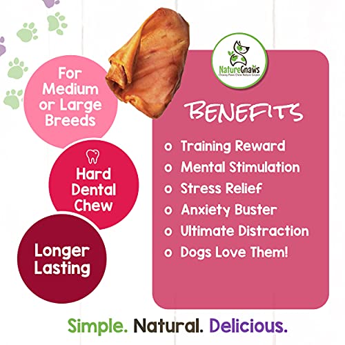 Nature Gnaws Pig Ears for Dogs Premium Natural Whole Pork Chews