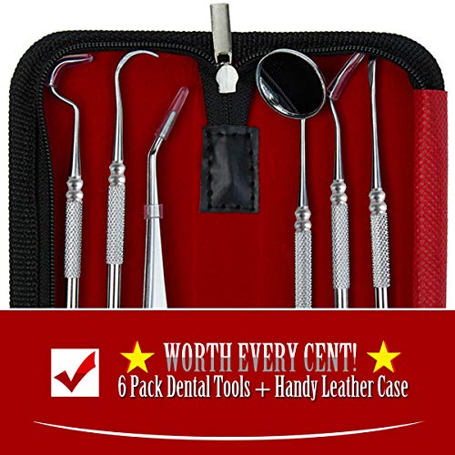 Dental Tools Cbiumpro 6 Pack Teeth Cleaning Tools Professional Dental Hygiene Kit Plaque Scraper Tartar Remover Dental Pick Mouth Mirror for Dentist, Adults, Kids, Pet Dogs With Leather Carrying Case
