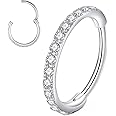 L7L7WM CZ Hinged Segment Nose Rings Hoop 316L Surgical Steel Cubic Zirconia Conch Daith Helix Tragus Body Piercing Jewelry Lip Rings Cartilage Earrings 20G 18G 16G Stainless Steel Septum Clicker Ring