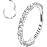 L7L7WM CZ Hinged Segment Nose Rings Hoop 316L Surgical Steel Cubic Zirconia Conch Daith Helix Tragus Body Piercing Jewelry Lip Rings Cartilage Earrings 20G 18G 16G Stainless Steel Septum Clicker Ring