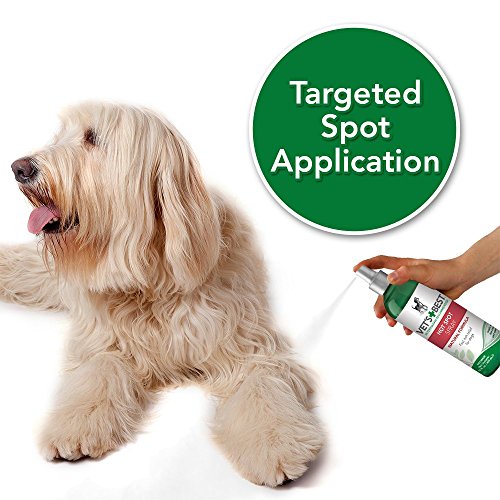Vet's Best Hot Spot Spray for Dogs, 16 oz Dog Training