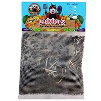 1500 Live Ladybugs - Good Bugs - Ladybugs - Guaranteed Live Delivery!