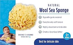 Baby Buddy Natural Wool Sea Sponge, Baby Bath