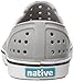 Native Kids Shoes unisex-baby Miles Water Shoe,pigeon grey/shell white,8 Medium US Toddler