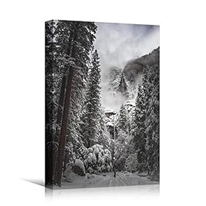 signwin Canvas Wall Art Winter Trees Cool Dramatic...