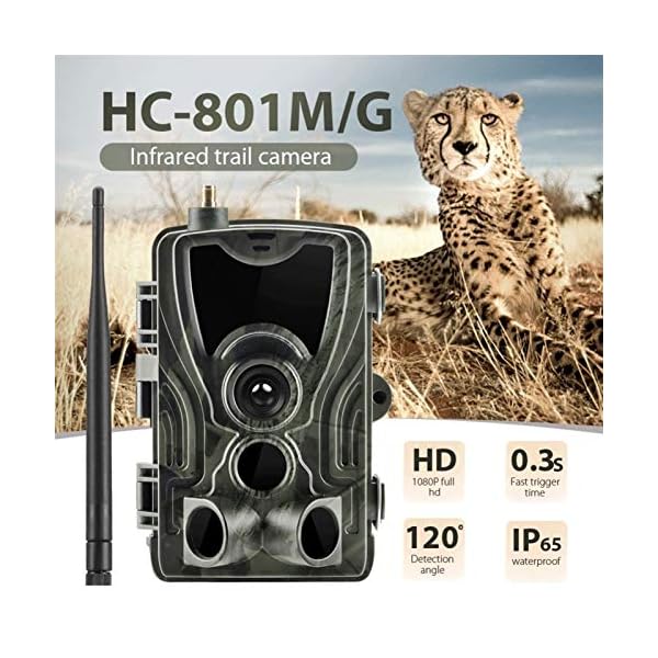KUANGQIANWEI Wildkamera Falle 3G MMS SMTP E-Mail Trail Kameras Cellular Mobile Jagdkameras 16MP 1080P HC801G Wireless… – Bild 3