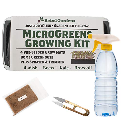 Microgreens Growing Kit - Organic Non GMO Seeds - Indoor Sprouting Greenhouse Tray - Radish Beets Kale Broccoli